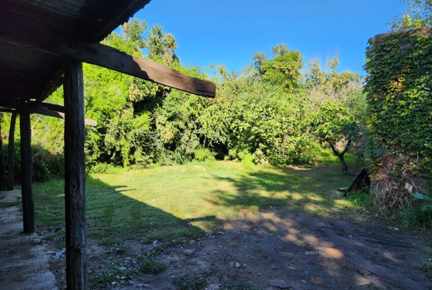 WhatsApp Image 2026-04-09 at 11.31.22