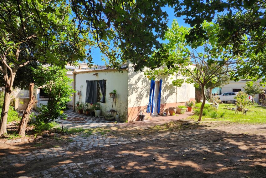 WhatsApp Image 2026-04-09 at 11.31.23 (1)