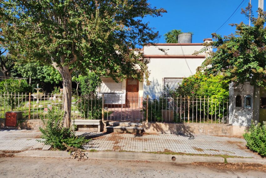 WhatsApp Image 2026-04-09 at 11.31.23 (2)