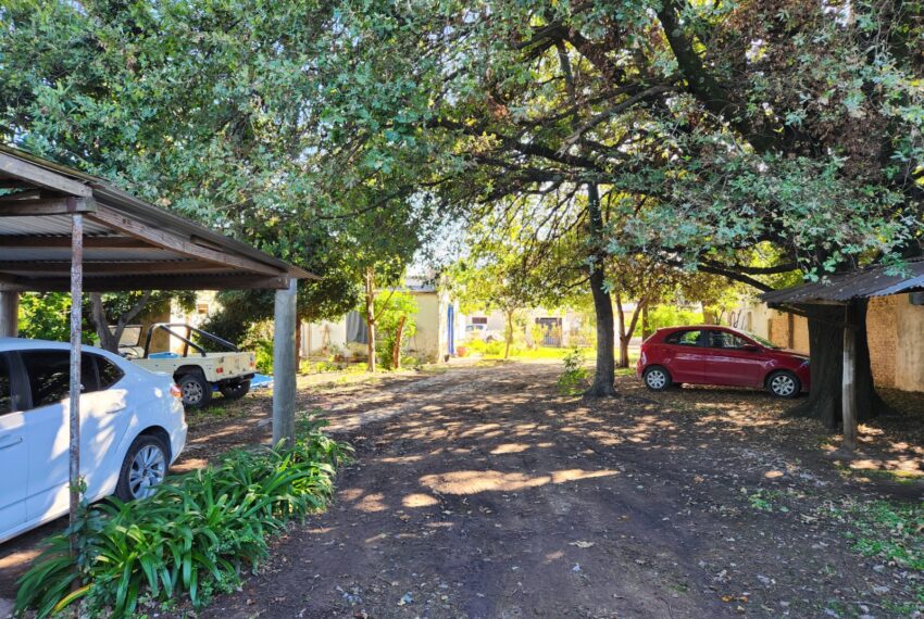 WhatsApp Image 2026-04-09 at 11.31.23