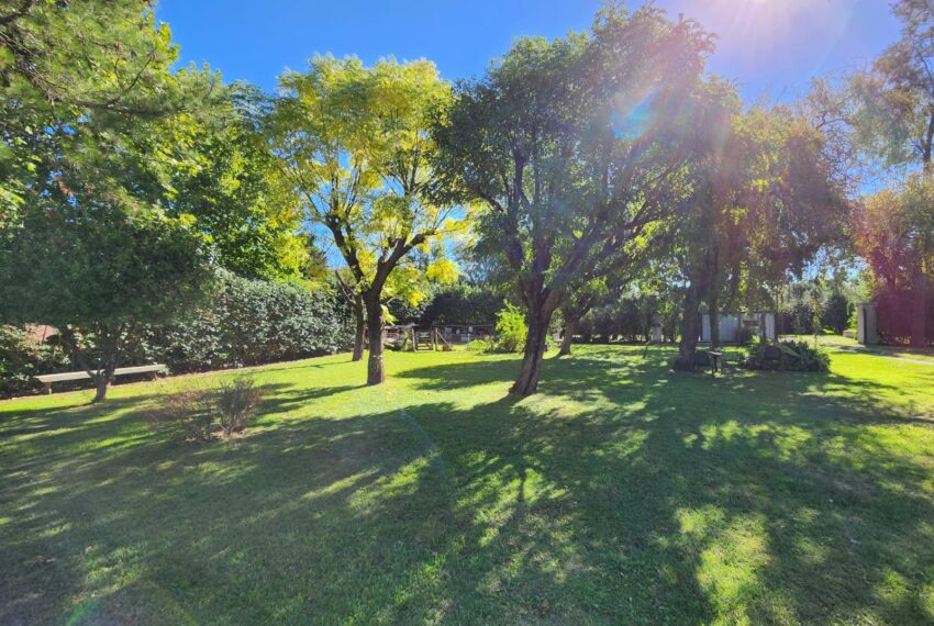 WhatsApp Image 2026-04-13 at 12.54.46