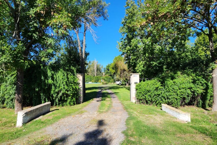 WhatsApp Image 2026-04-13 at 12.54.46(4)