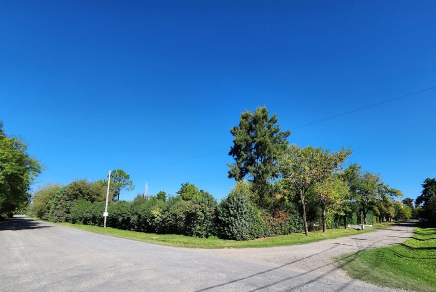 WhatsApp Image 2026-04-13 at 12.54.47