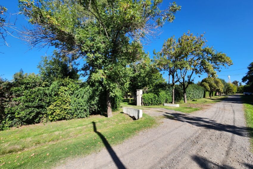 WhatsApp Image 2026-04-13 at 12.54.47(2)