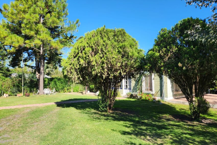 WhatsApp Image 2026-04-13 at 12.54.47(3)