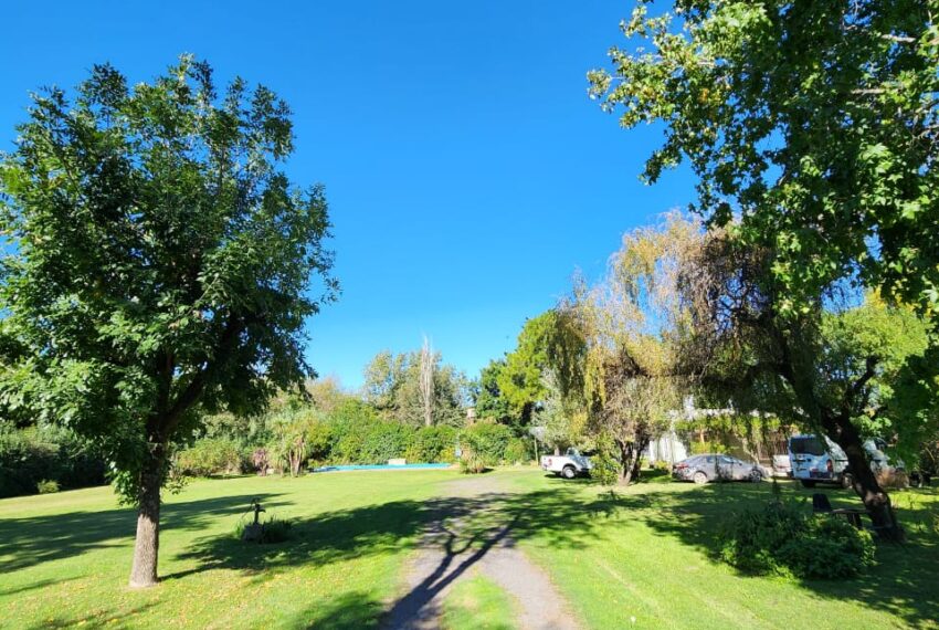 WhatsApp Image 2026-04-13 at 12.54.47(4)