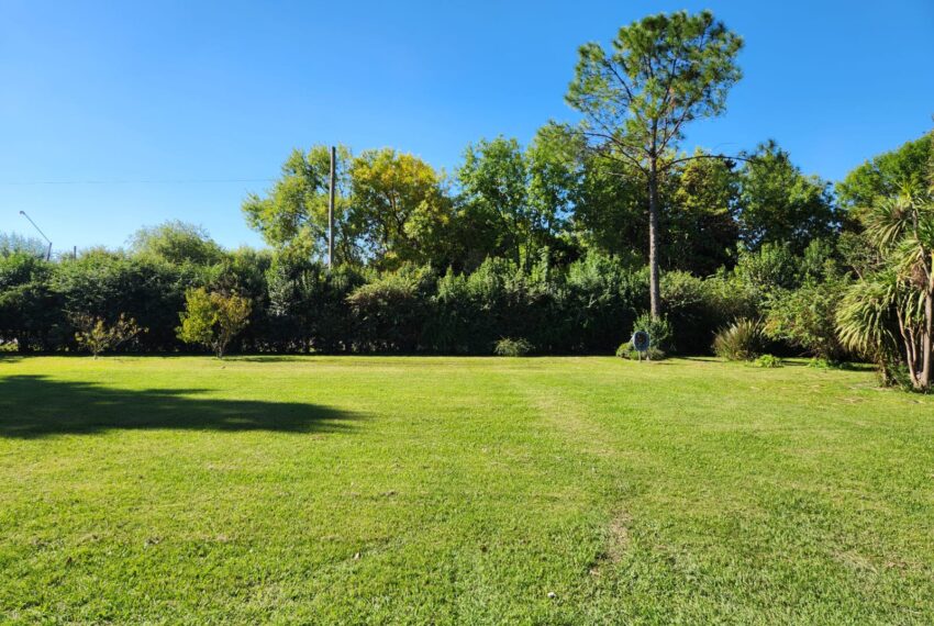 WhatsApp Image 2026-04-13 at 12.54.48