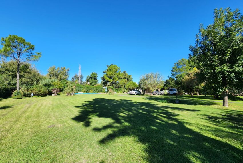 WhatsApp Image 2026-04-13 at 12.54.51(3)