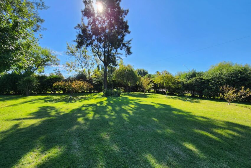 WhatsApp Image 2026-04-13 at 12.54.51(5)